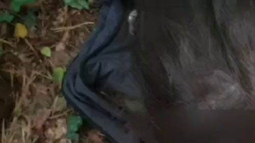 Download: 24K_Gold - Blowjob in der Natur...