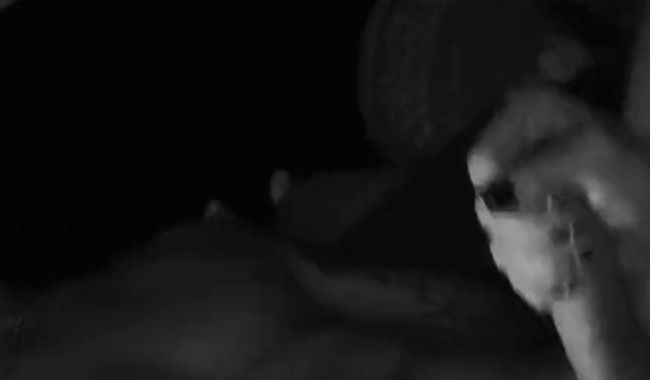 Download: AdaShelby - Kurze Tantra & Analmassage: Mrs. Shelby löst Mr. Shelbys Druck!