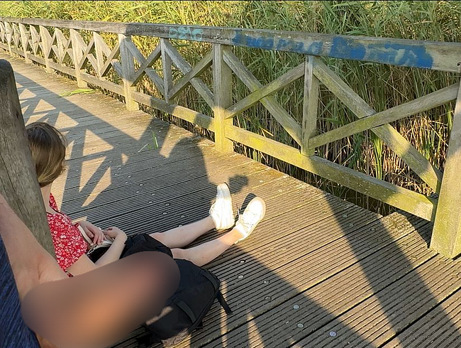 Download: Alex_Sander - Ich hole einfach meinen Schwanz vor ihr raus