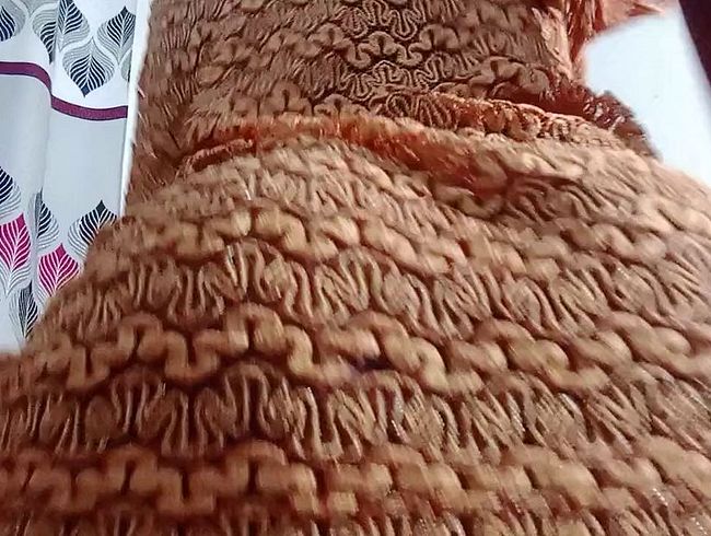 Download: Alexa_Zane - Nahaufnahme der zierlichen Ebenholz-Alexa Zane beim Doggy-Twerking – Muschi freigelegt