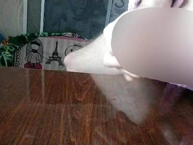 Download: Alexandr513 - auf dem Esstisch.