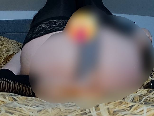 Download: AllAccess - Tower der Lust