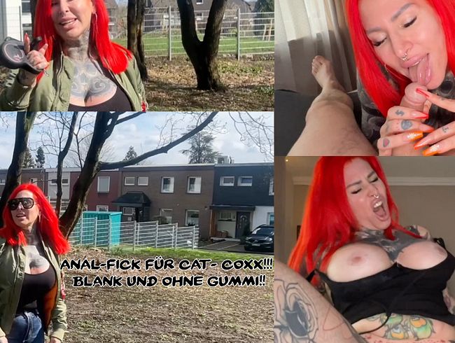Download: Amateurstar-Casting - ANAL-Fick für Cat-Coxx!!! Blank und ohne Gummi!!!