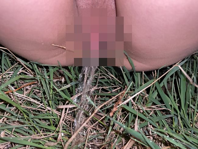 Download: Amelia_Queen - Zusammenstellung! Pissen in verschiedenen öffentlichen Toiletten! Nahaufnahme!