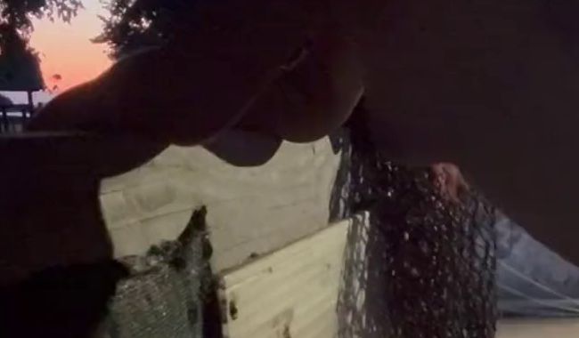 Download: Amourangel763 - Doggy im Heulager beim Sonnenuntergang – Wilder Fick am Stall!