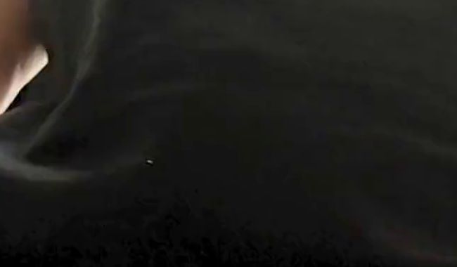 Download: AnastasiaMilf - Willst du meine großen Höschen mit deiner Zunge reinigen?