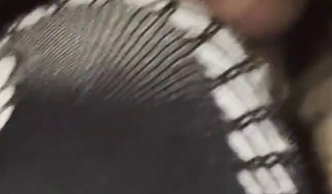 Download: Animemeli - Sexymeli18 Teil 1