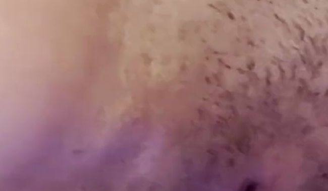 Download: Animemeli - Sexymelli18 Whirlpool Teil 9