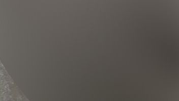 Download: Ann53 - Muschi fisting