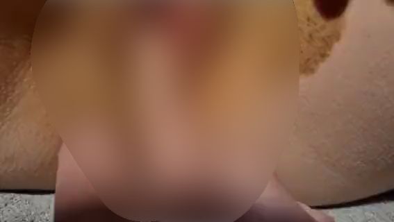 Download: Apfelsaftx3 - Wenn der Nachbar zweimal klingelt...