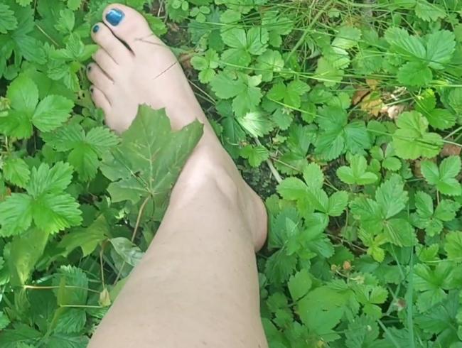 Download: Avi-Montana - Barfuss durchs Gras