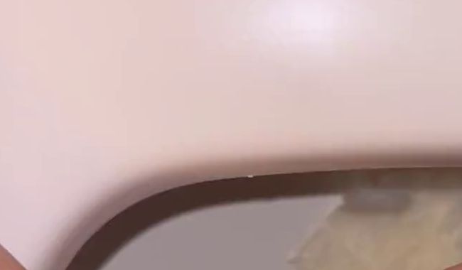 Download: BellaDiamondx - Willst du lieber das vollgepisste Toilettenpapier sein oder das was mich sauber macht?