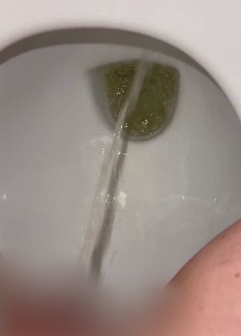 Download: BellaDiamondx - Ich setze mich falsch herum auf die Toilette, pisse und wische mich ab