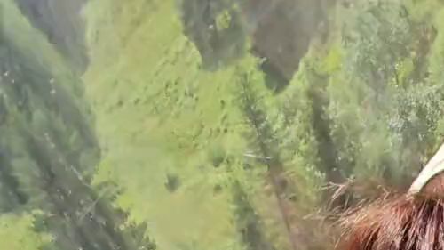 Download: Belle2007 - Sesslift Gondelaktion