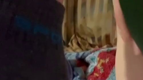 Download: BlasMausAga - Zucchini test Anal auch bestanden