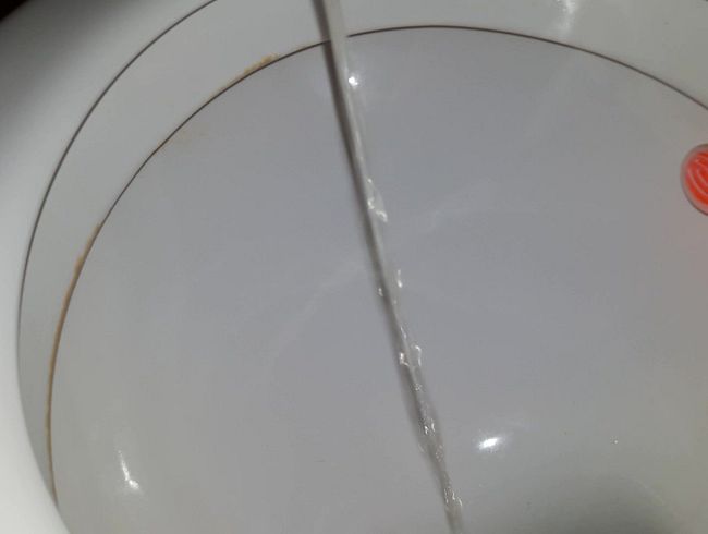 Download: Blasflittchen - Im stehen ins Klo gepinkelt