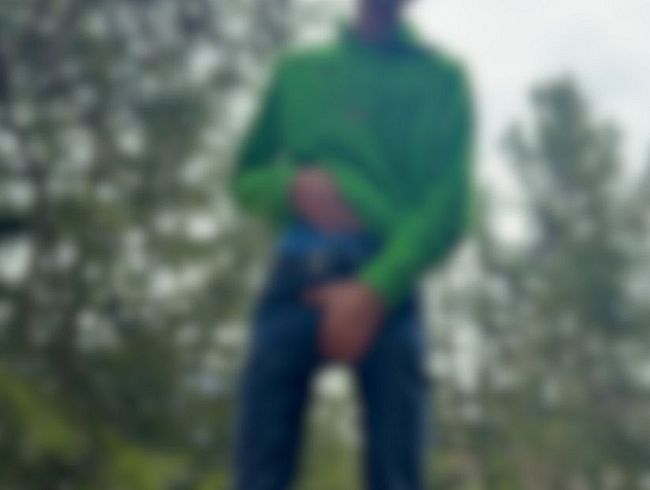 Download: Blondboy1998 - Erstes Outdoor-Wichsen 2025 – Geiler Abschuss im Wald!