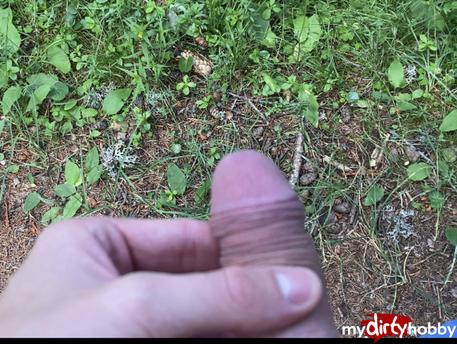 Download: Blondboy1998 - Pissen im Wald