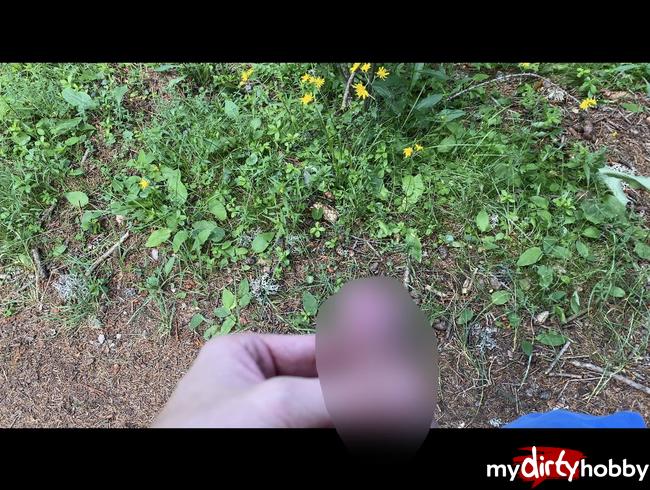 Download: Blondboy1998 - Pissen im Wald