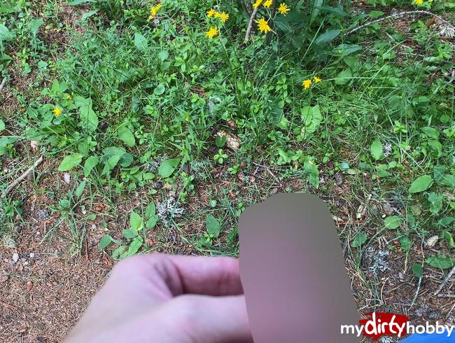 Download: Blondboy1998 - Pissen in der Natur