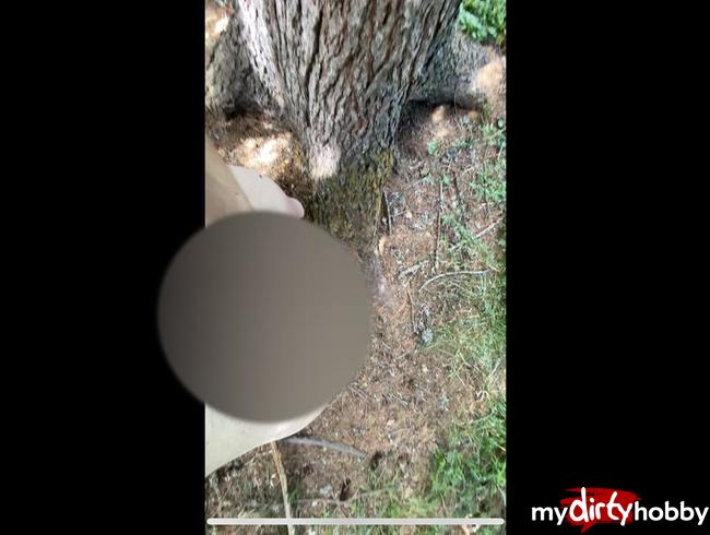 Download: Blondboy1998 - Im Wald abgespritzt