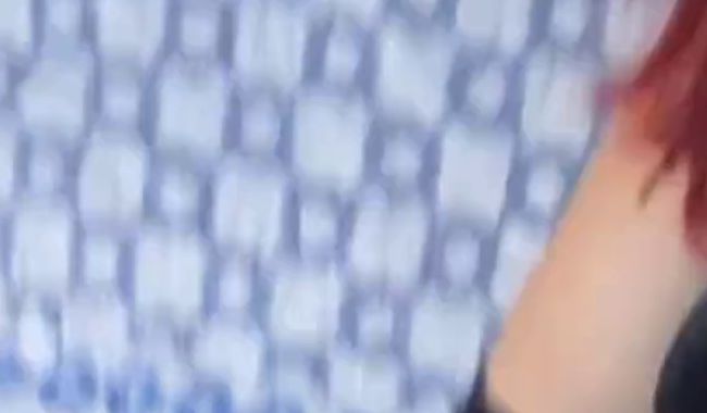 Download: BugsBunnie721 - Skript 1 - Video 3 (ohne Ton)