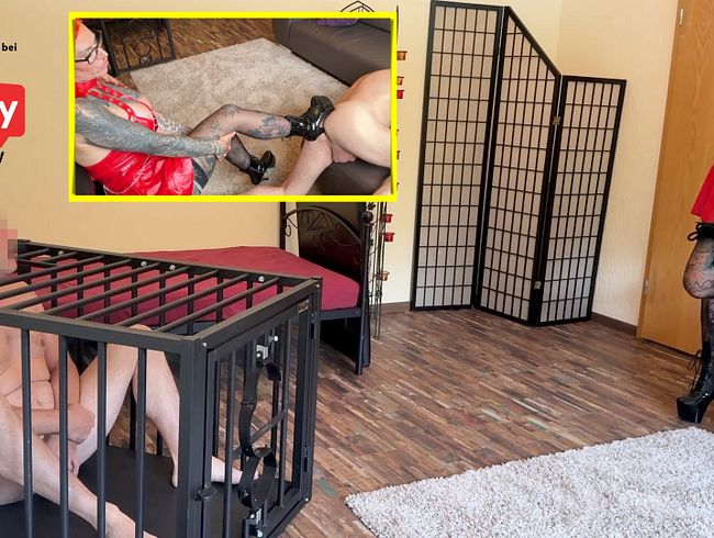 Download: Cat-Coxx - Perverse zustände! Daddy als devoten Loser benutzt