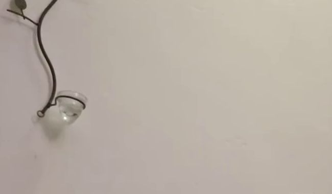 Download: Chantal2021 - Befriedige mich mit meinem Dildo