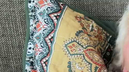 Download: Charlotte_Vintage - Wo sind die Schwänze... Nach dem Duschen mache ich es mir selbst in Halterlosen