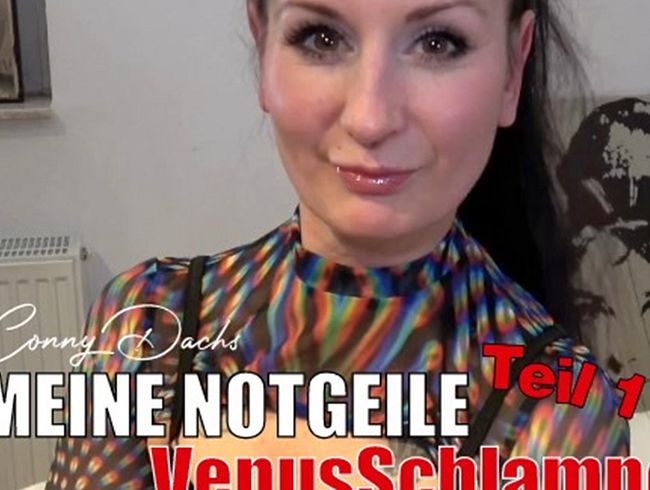 Download: ConnyDachs - MEINE NOTGEILE VENUSSCHLAMPE PRIVAT GEFICKT - Teil 1