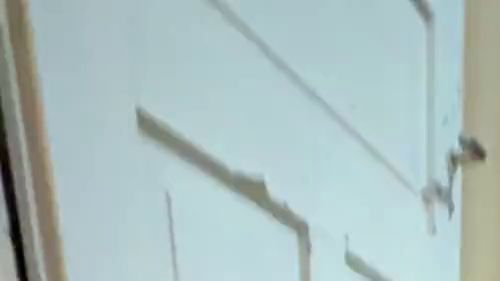 Download: Creamybunny - Kurzer Einblick mit meinem toy