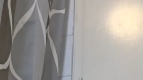 Download: Creamybunny - Durchsichtiger Dildo mit feuchtem Orgasmus