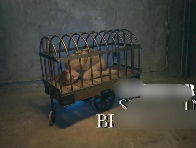 Download: CruelAlice - Hardcore Sklavin Benutzung