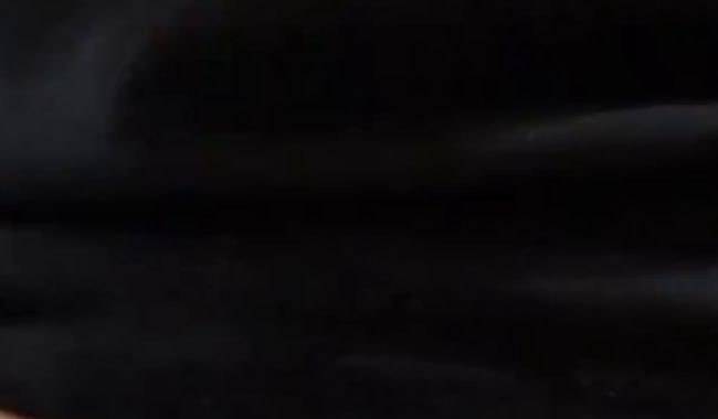 Download: Cum_Stealer - Ns für jeden was dabei