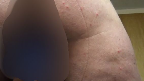 Download: Dastrio - Lieblings Spielzeug