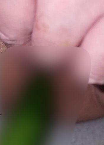 Download: DickeTitte70 - Na was verschwindet denn da in meiner Muschi.