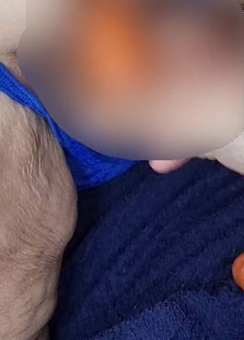 Download: DickeTitte70 - Karotte doggy probiert