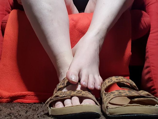 Download: Dirty-Jade - Spritz auf meine Füße in den Leopardenschlappen