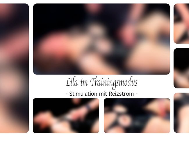Download: DirtyLord666 - Lila im Trainingsmodus - Stimulation mit Reizstrom