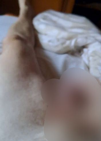 Download: Discover_me - Über den Bauchnabel hinweg mein geiler Saft