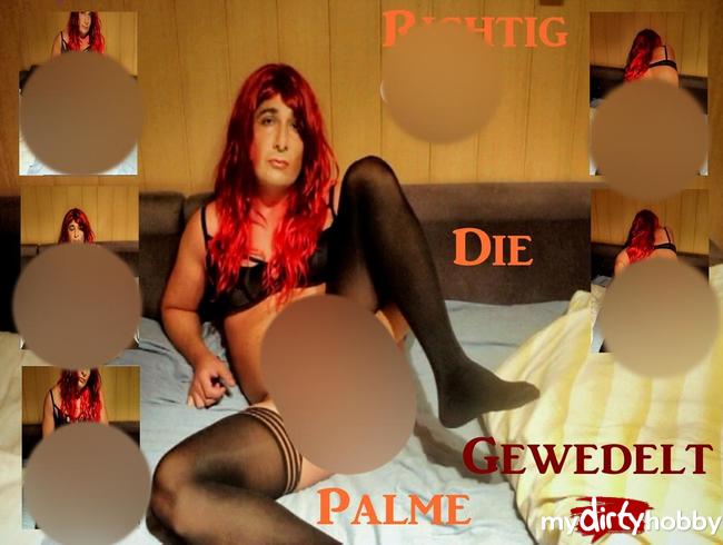 Download: DivyStylez - Richtig geil die Palme gewedelt 2019