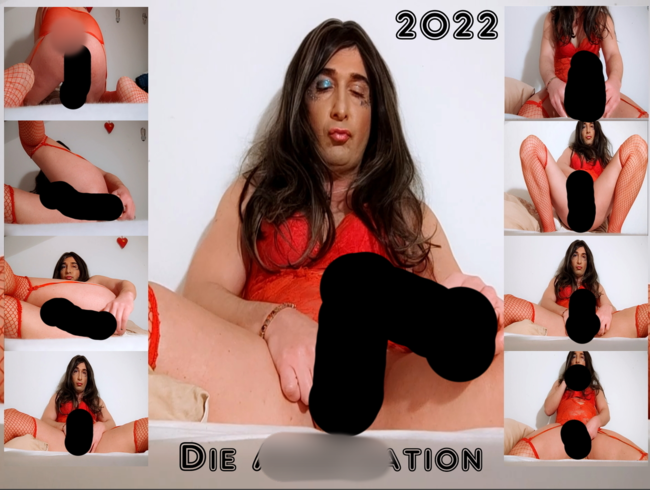 Download: DivyStylez - Die Analisation