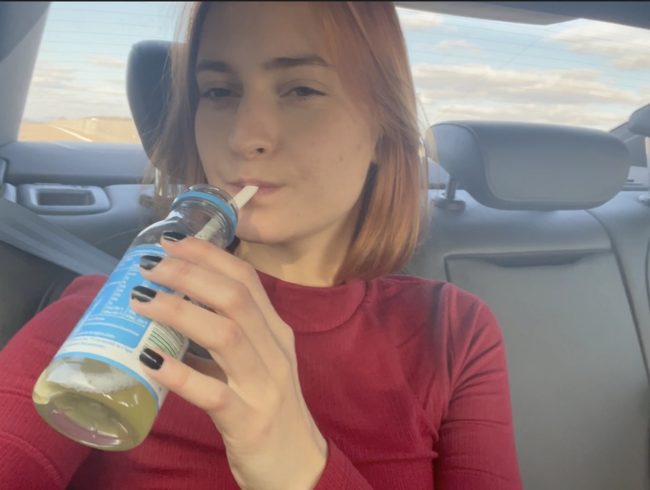 Download: Dollydyson - Meine Pisse auf einer Rastätte serviert