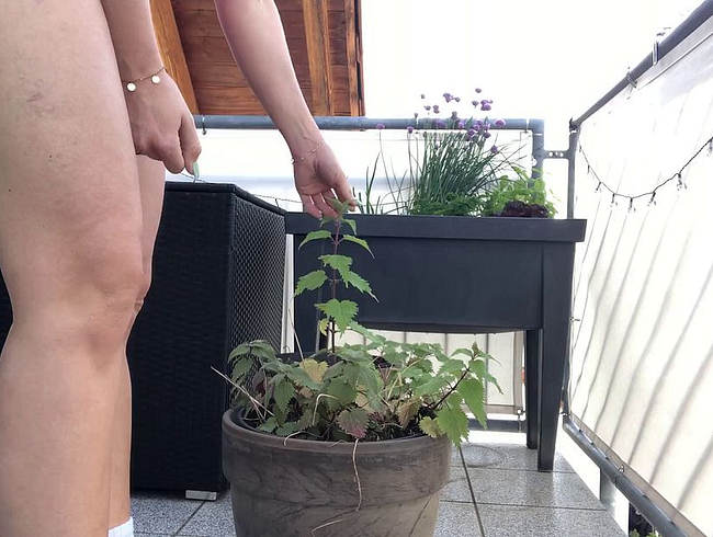 Download: Doppelleben365-1 - NS in Brennessel