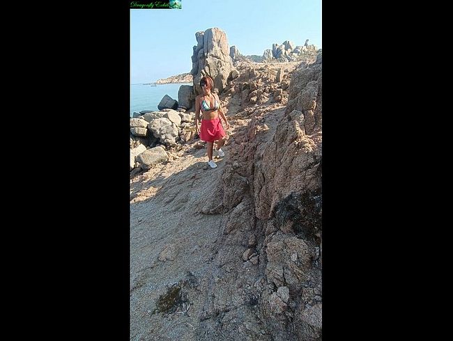 Download: DragonflyExhib - Prächtiger Goldregen und Exhibitionismus an der Klippe 