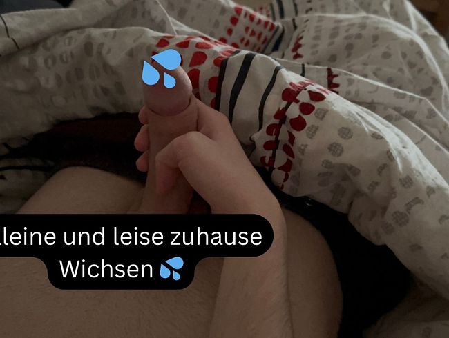Download: Dreamboygerman - Alleine und leise zuhause Wichsen