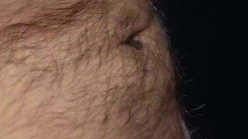 Download: Einfach_Dani - BJ1 im Pornokino