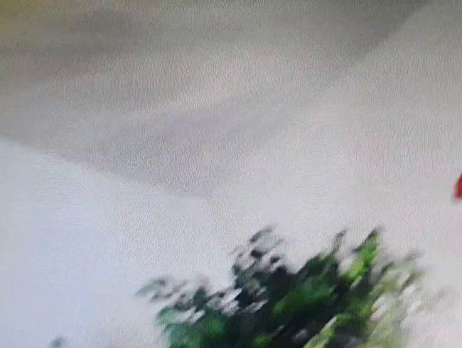 Download: Emergenzy - Pussy nah! Behaart und fett!