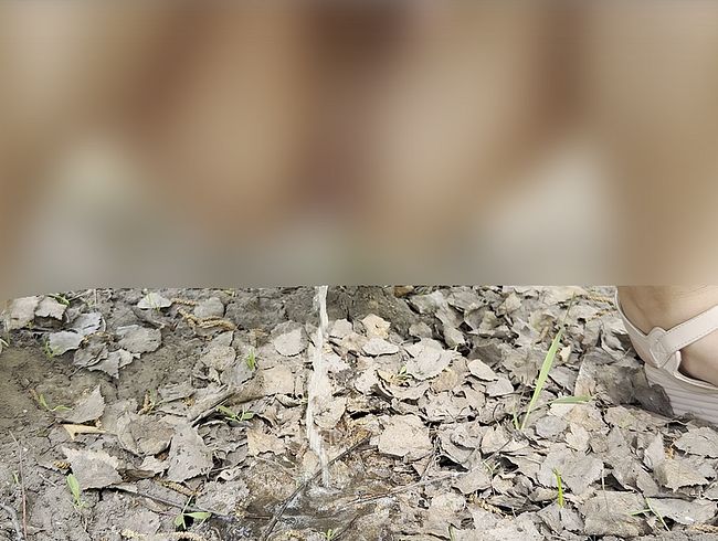 Download: Erect_Dick - Öffentliche Piss-Zusammenstellung in der Natur! Autofahrt!