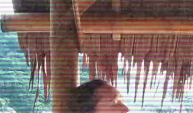 Download: Fetischdomina - Wilder Natürlicher Busch am Traumstrand